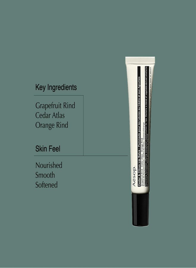 Aesop Cedar & Citrus Lip Balm | Nourishing Lip Treatment for Dry, Chapped Lips | Smooth Oil-Gel Formula | 0.3 fl oz - Image 3